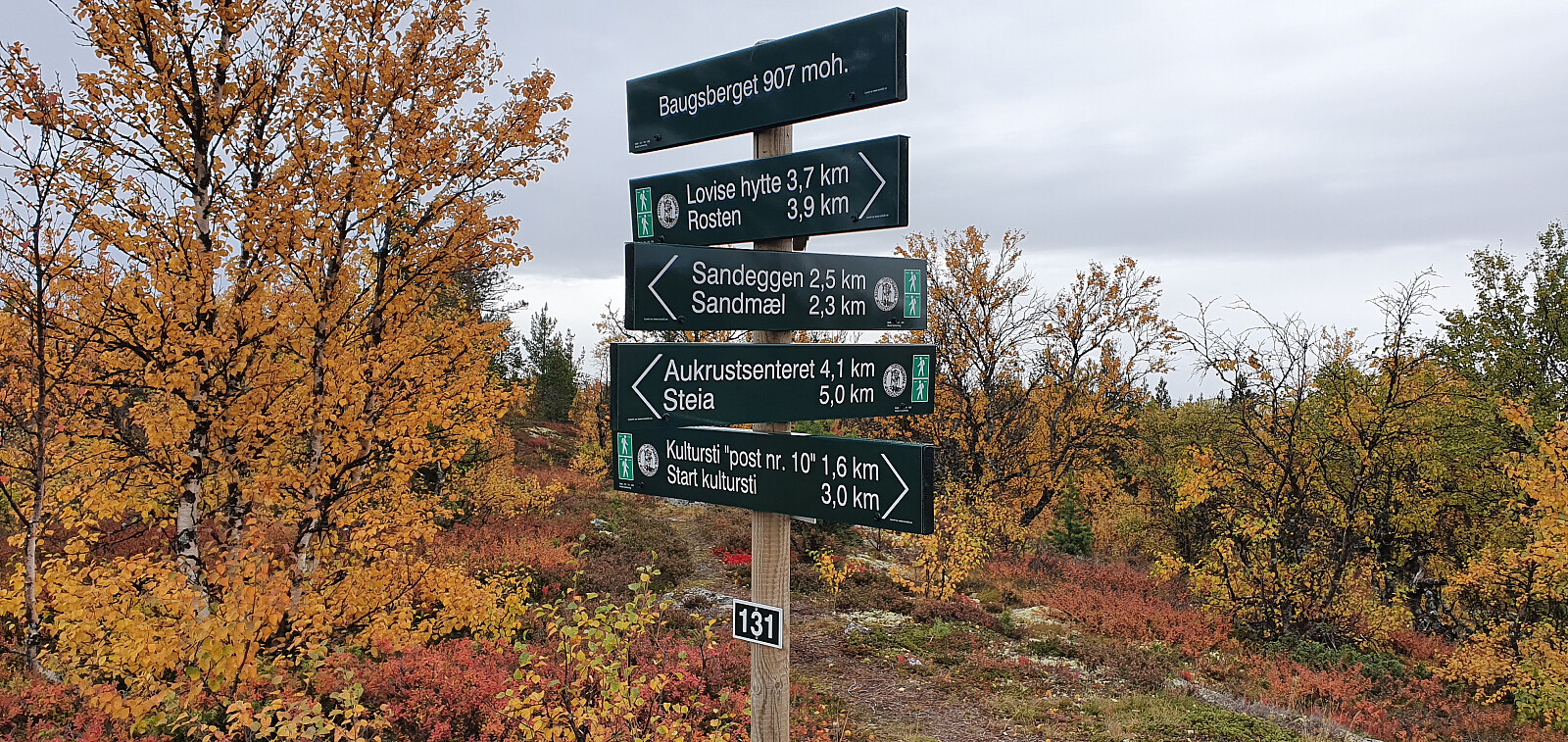 Baugsberget (907moh)
