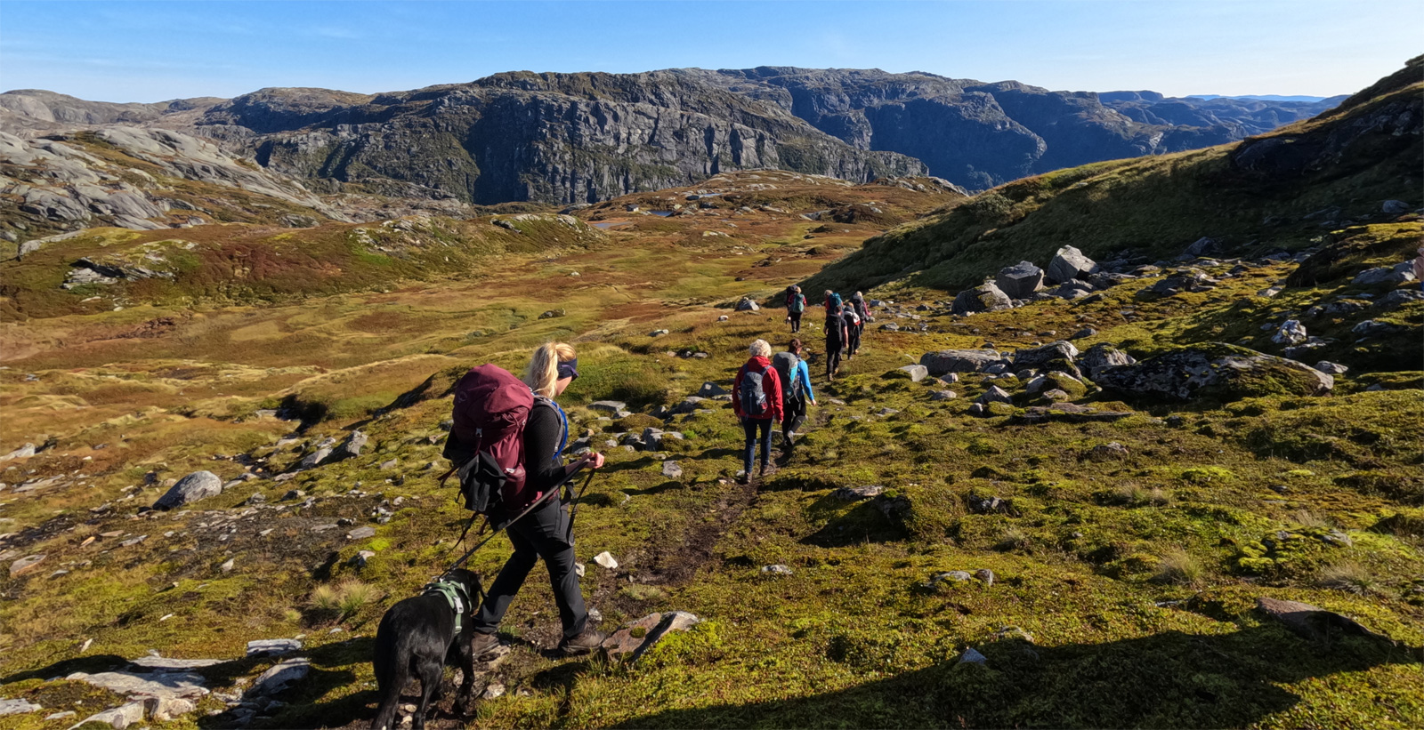 Fra Breidablik via Tulledalen til Hamlagrøosen