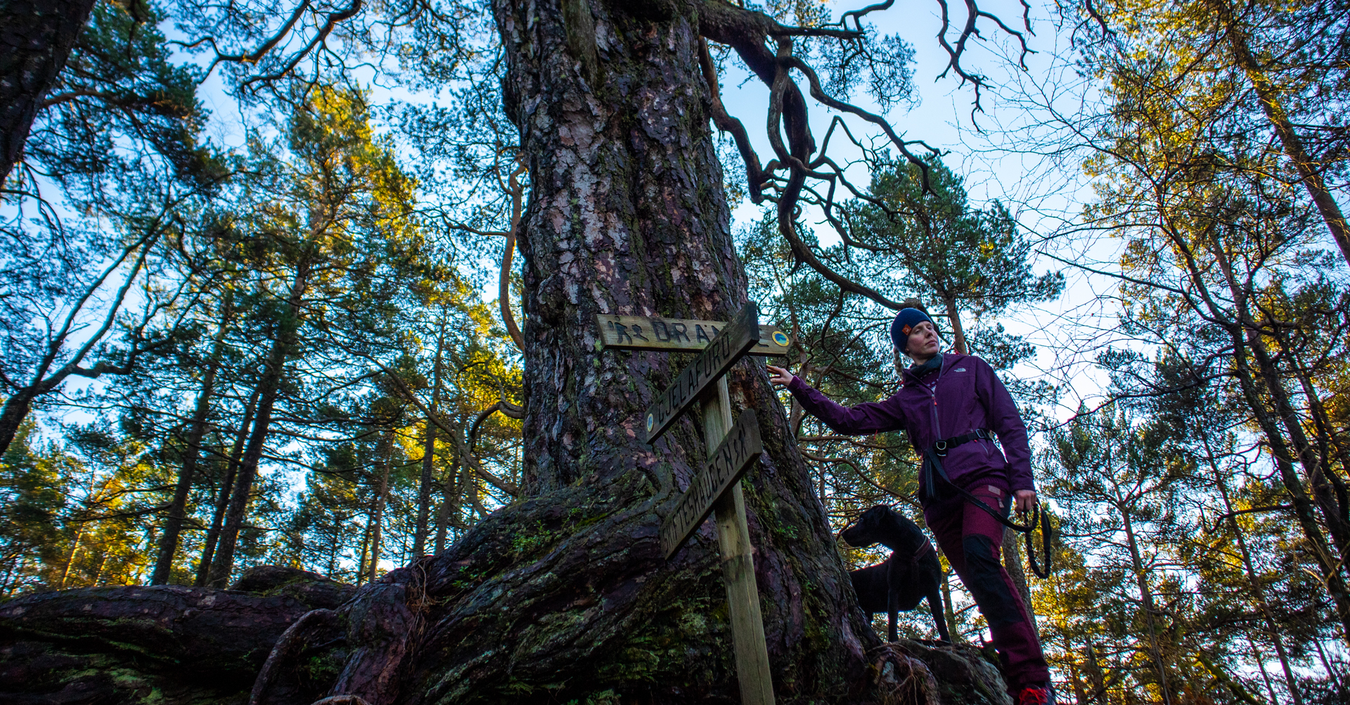 Gjelafuro (189 moh) fra Langavatnet på Drange