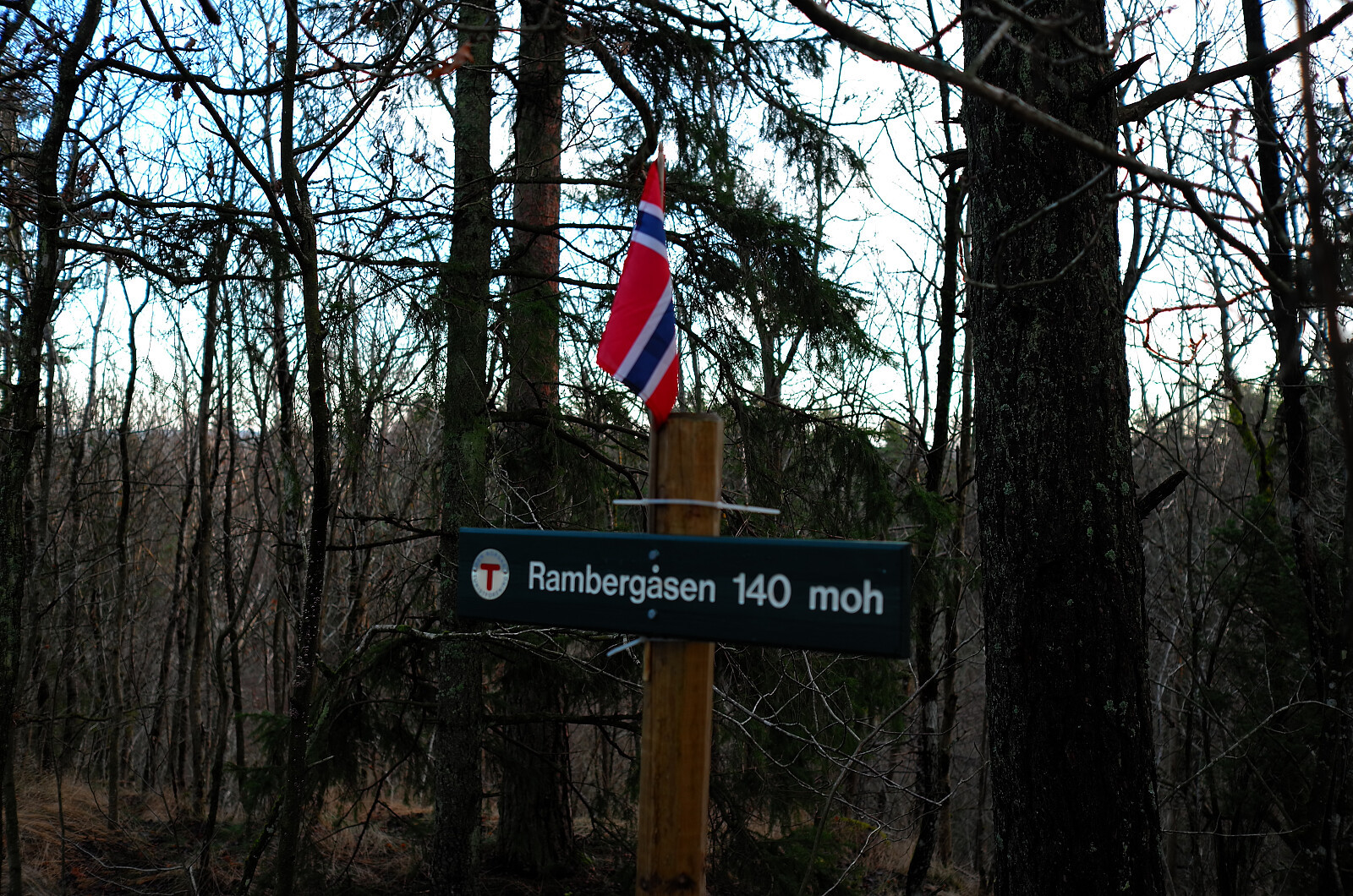 Rambergåsen (140moh)