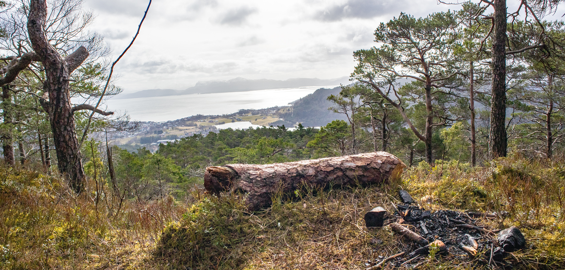 Skogafjellet (289 moh) i Os fra Ulvenparken