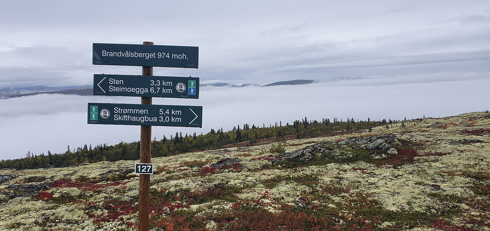 Brandvålsberget (974moh)