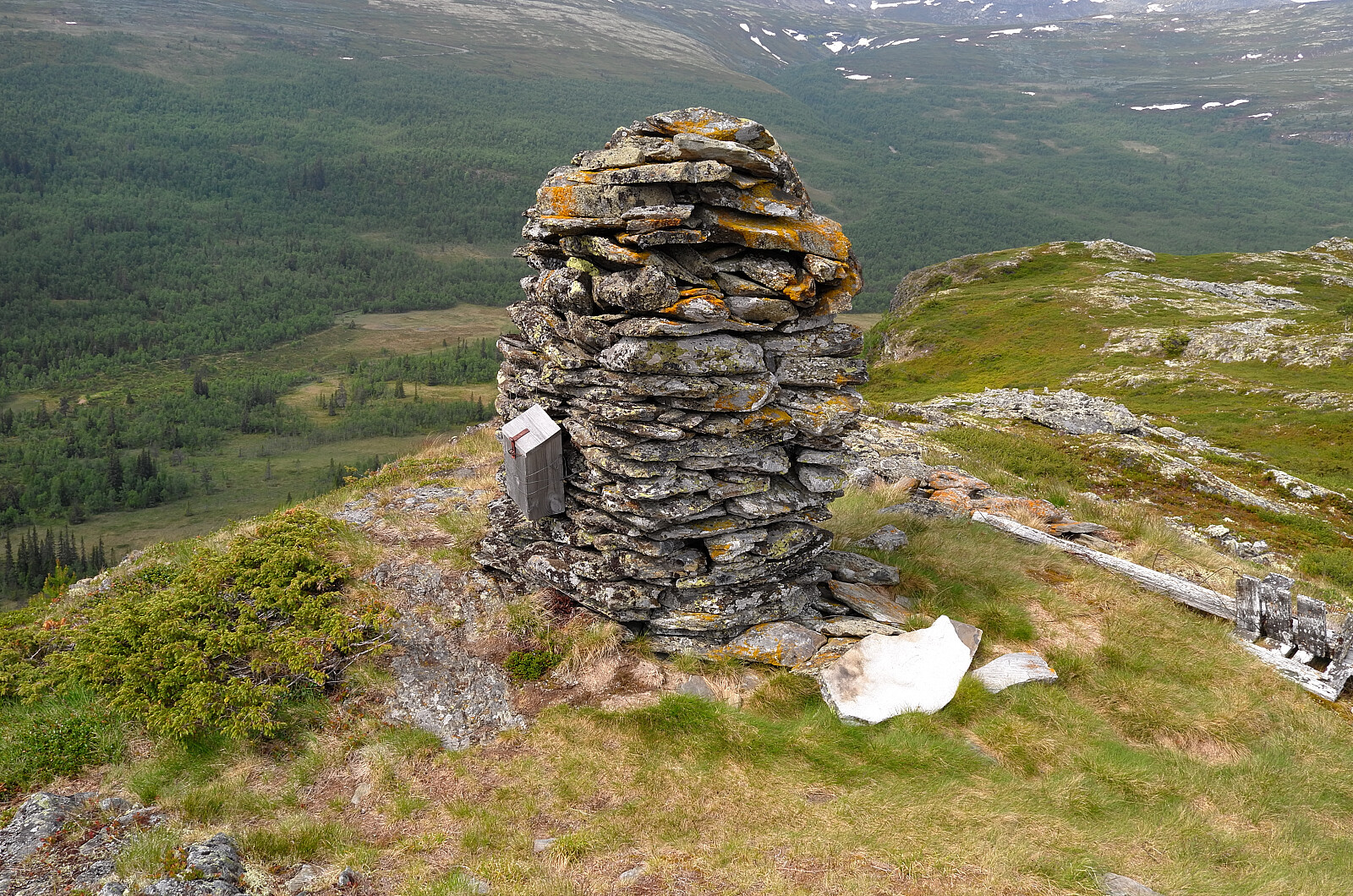 Veslfjell (1003moh)
