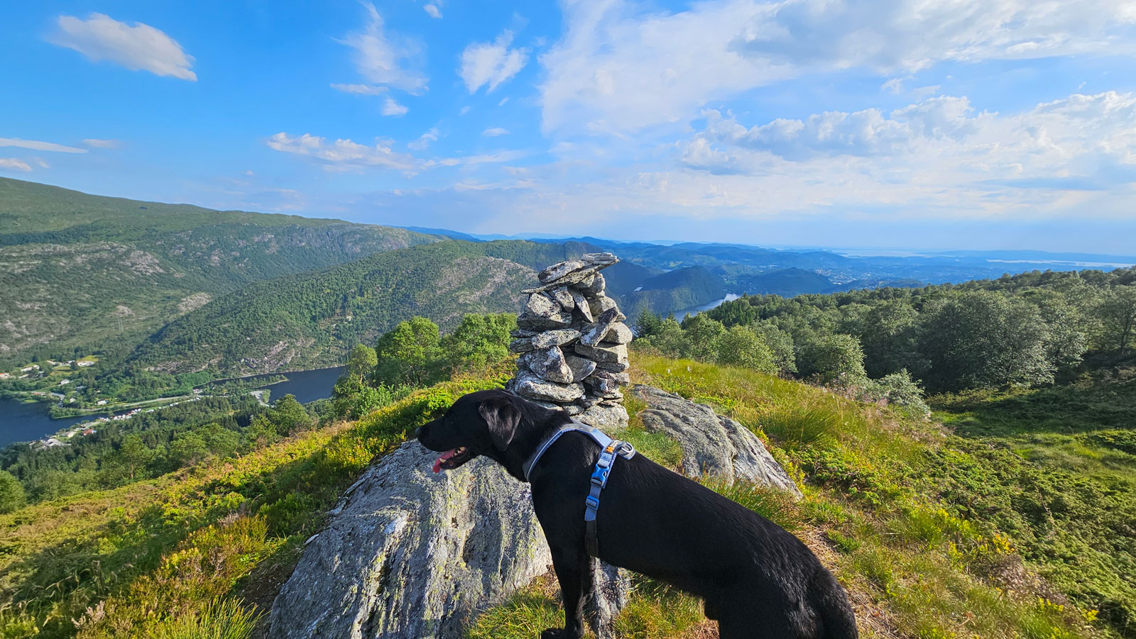 Fjelltur til Erdalsvarden (458moh) fra Arna
