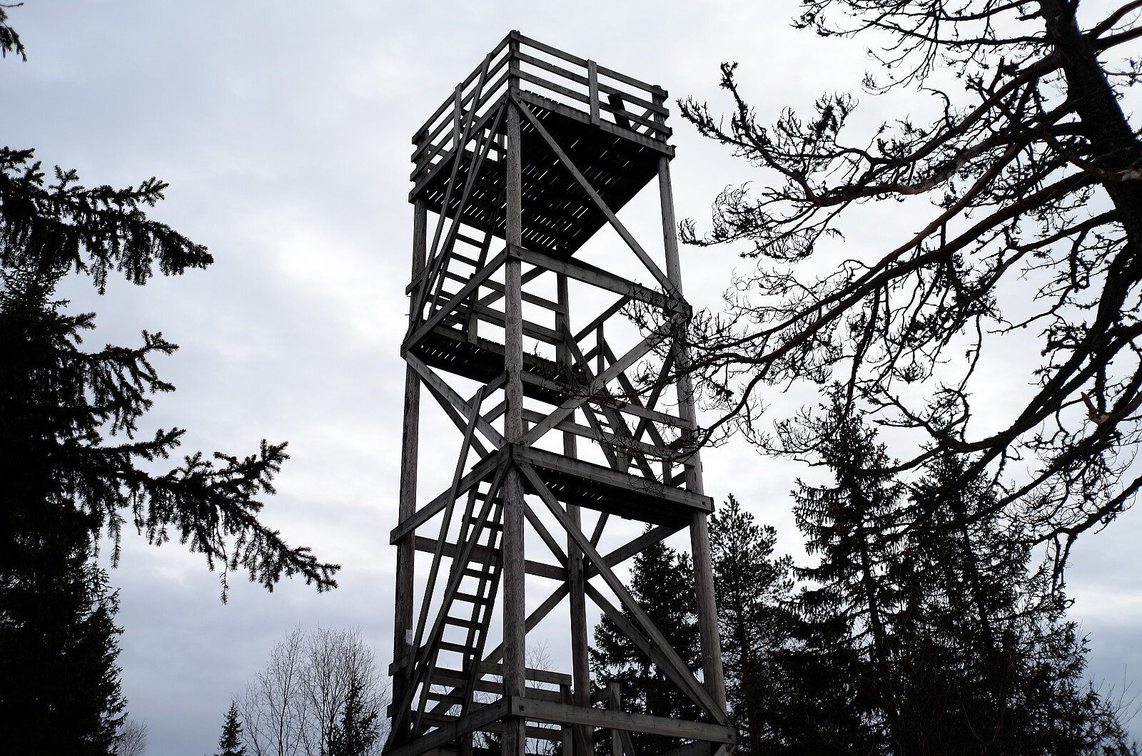 Vardehøgda (360moh)