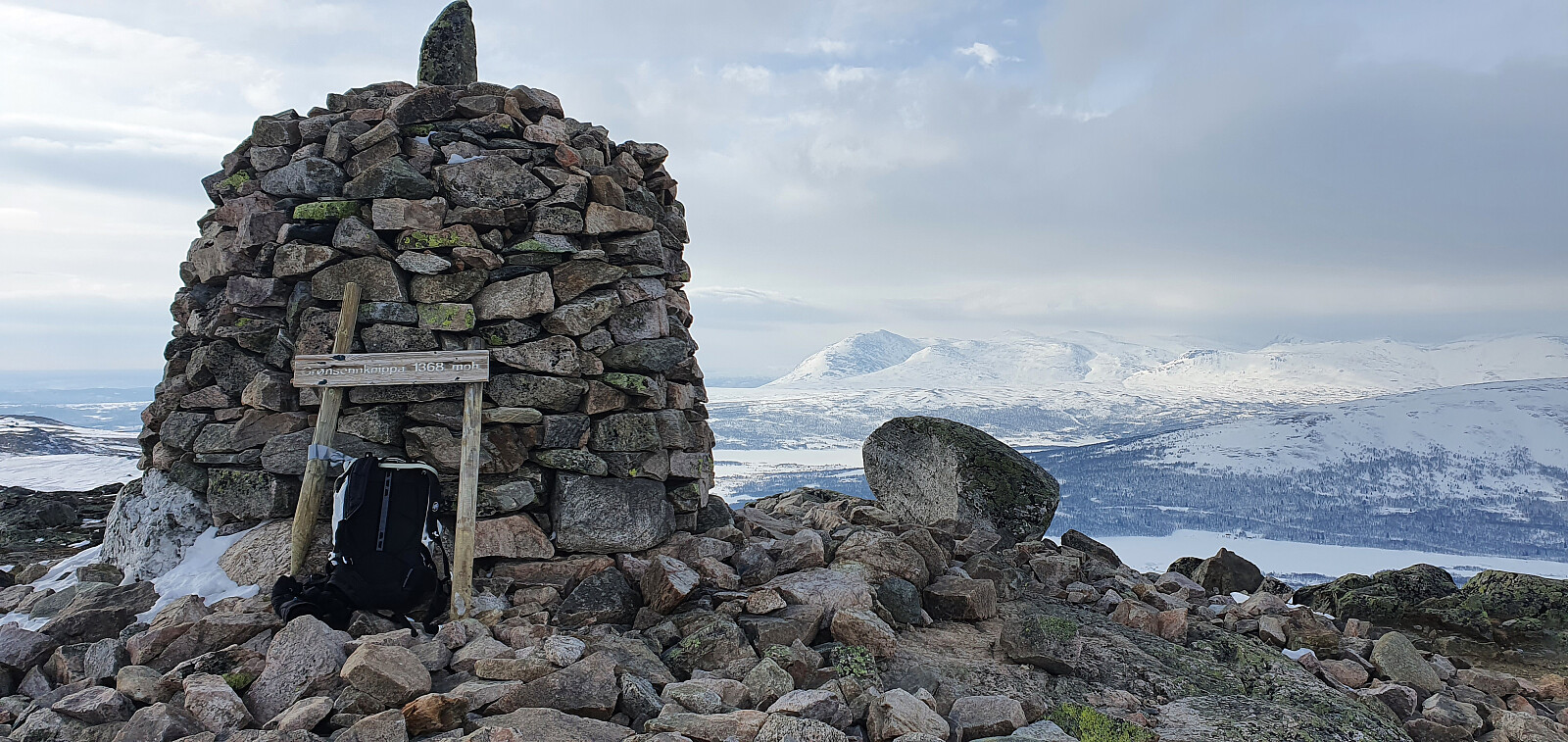 Grønsennknippa (1371moh)