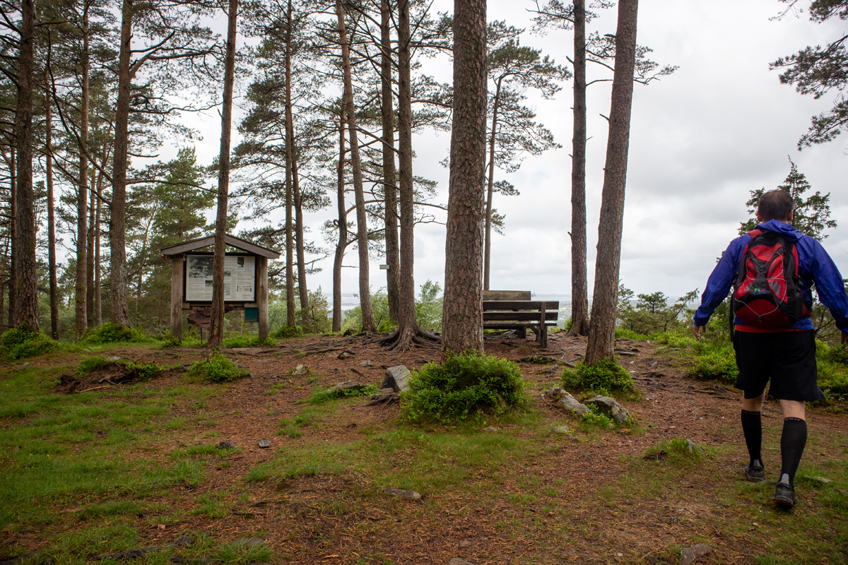 Ospåsen / Åsebøåsen (170 moh)