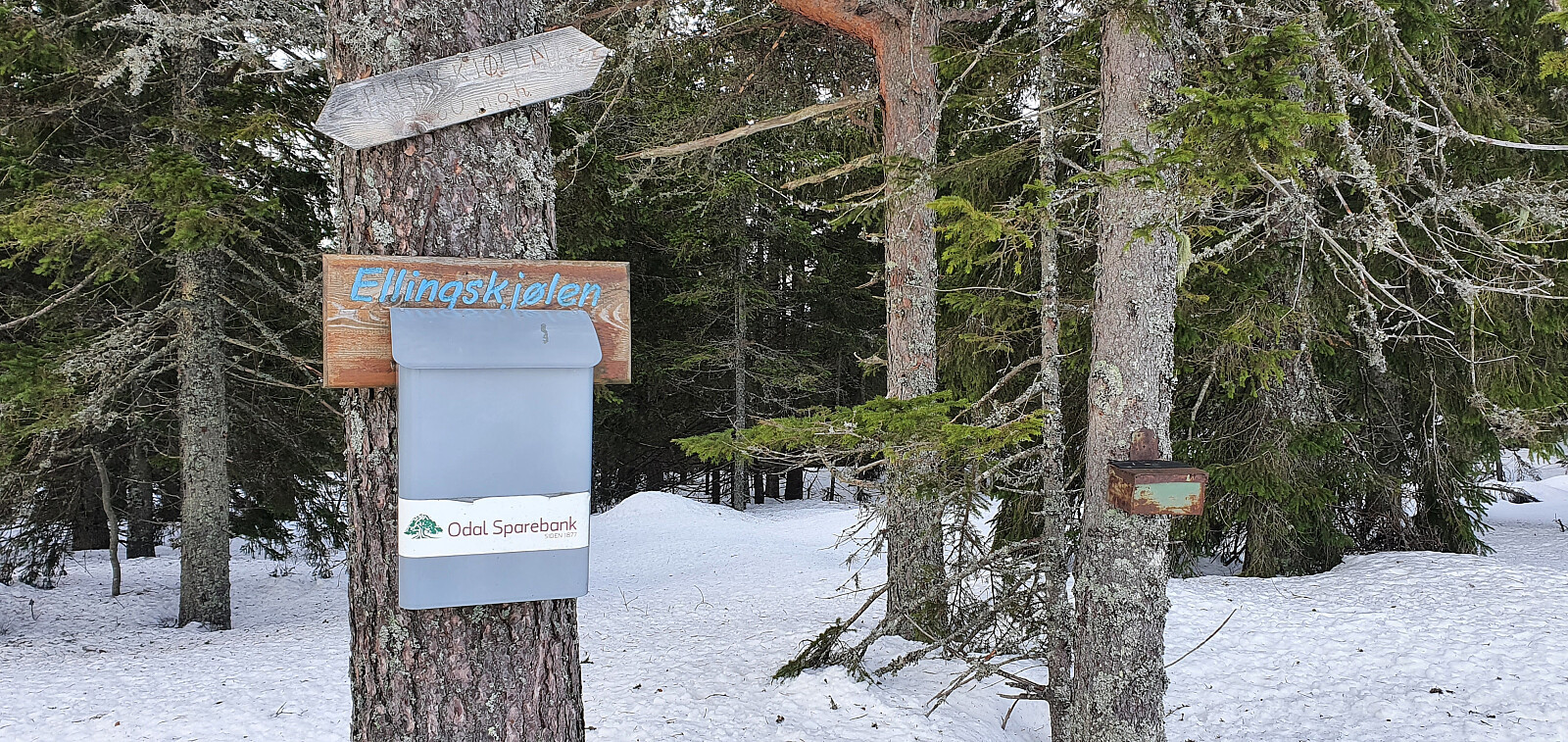 Ellingskjølen (480moh)