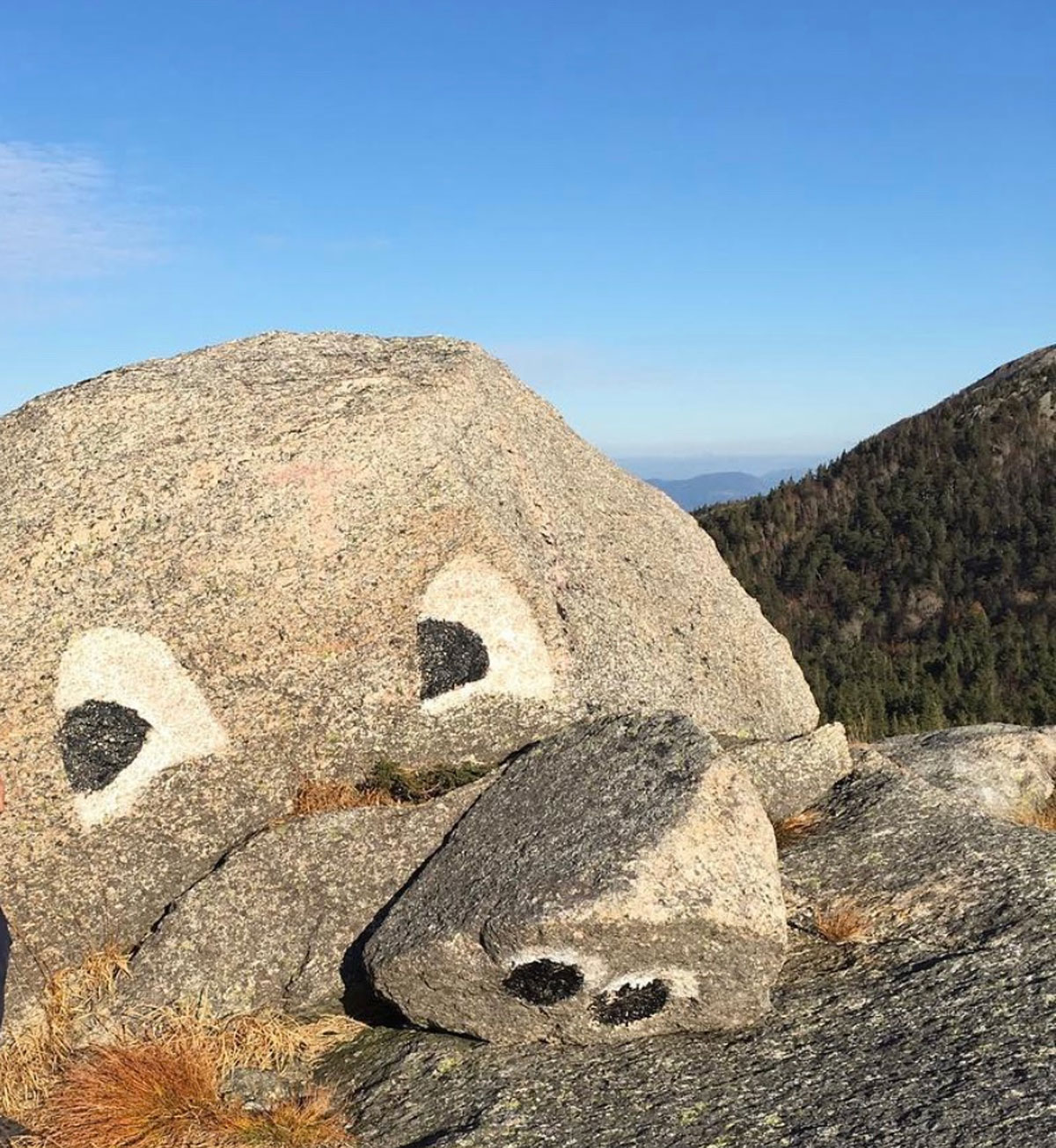 Fjelltur til Gråskallen (440moh) fra Herøysund
