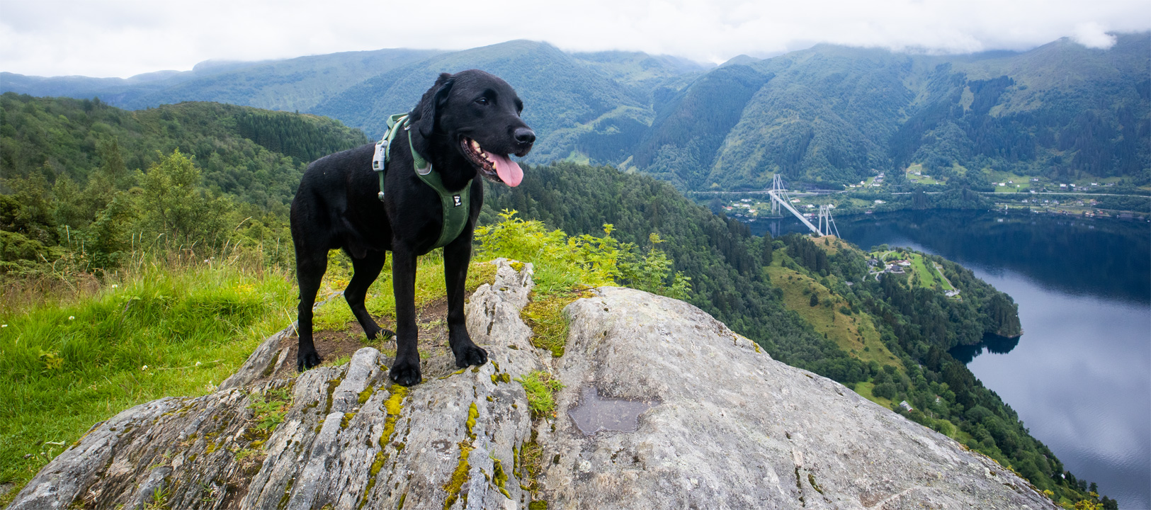 Fjelltur Orrkleivhaugen (360moh) på Osterøy