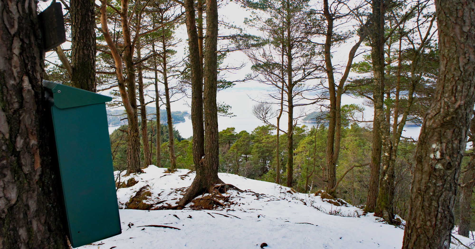 Hjortåsen (208 moh) på Strøno
