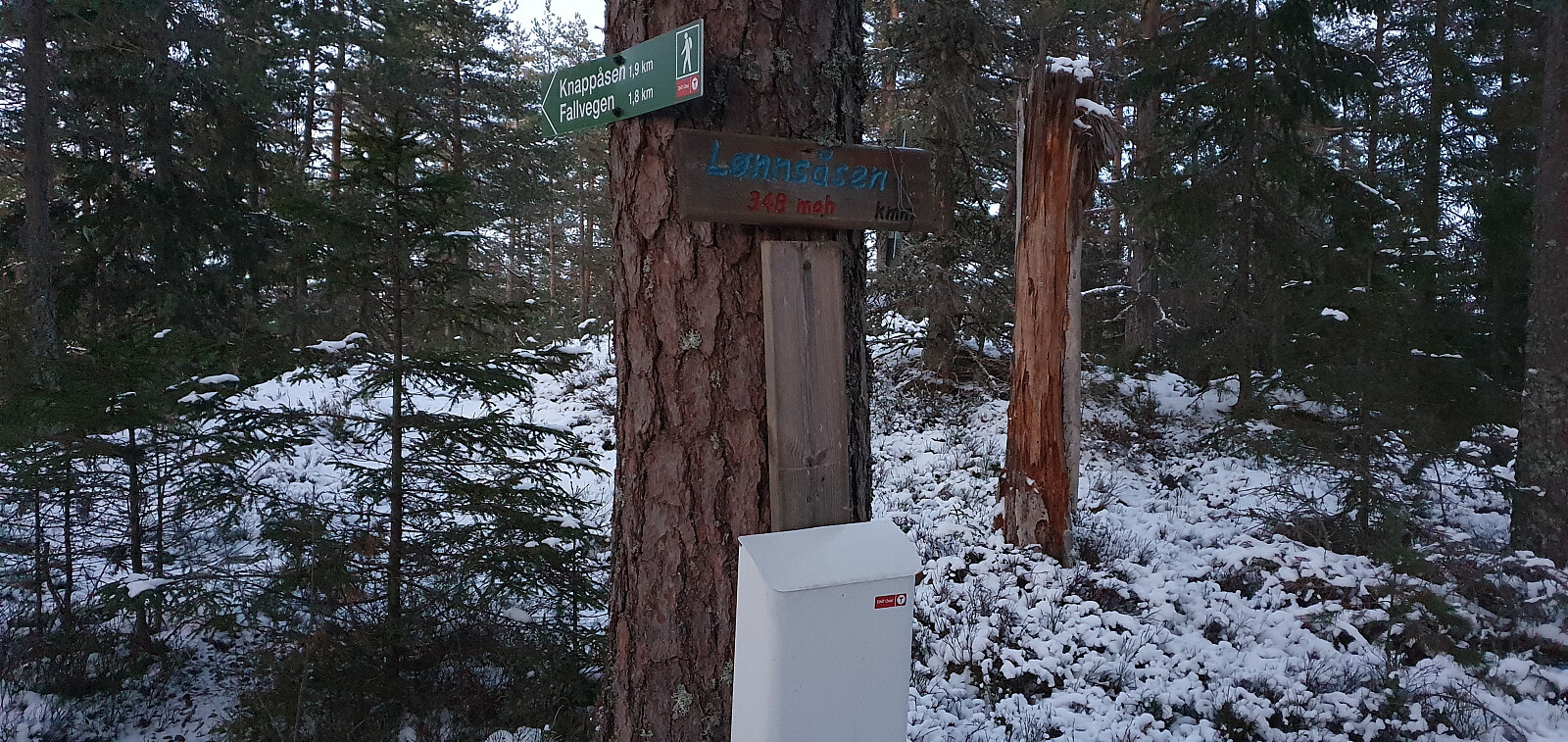 Lønnsåsen (352moh)